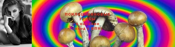 jwh Белоозёрский