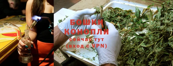 2c-b Белокуриха